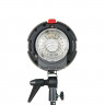 Вспышка Falcon Eyes Phantom II 300 BW студийная
