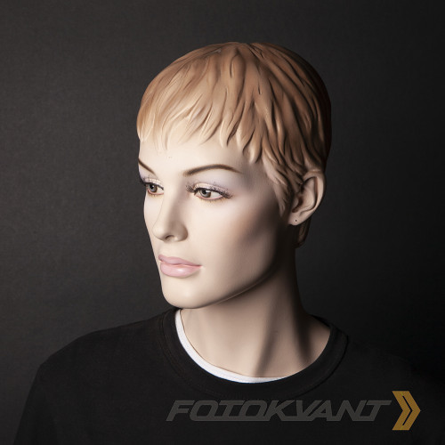 Fotokvant BGP-2711-44 Black фон бумажный 2.72х11 м черный