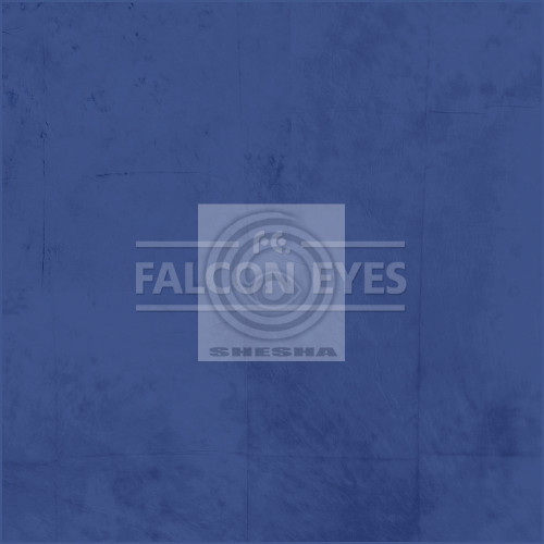 Фон BCP-04 BC-2770