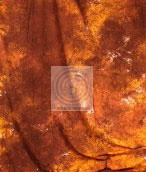 Художественный фон SHESHA 2,7х5 м SH-5