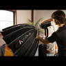 Софтбокс Aputure Light Dome III с сотами