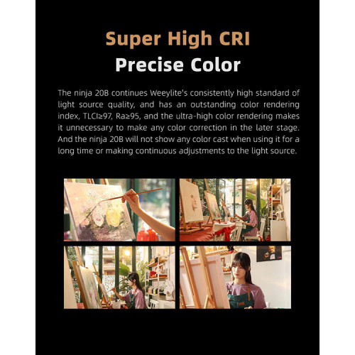 Осветитель Weeylite Ninja 20B