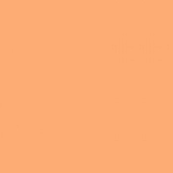 Фон пластиковый FST персиковый 100x120 см матовый