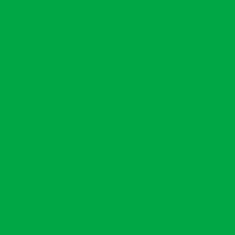 Fotokvant BN-2150 Green нетканый фон 2,1х5,0 м зеленый
