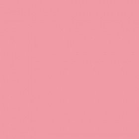 Фон пластиковый FST розовый 100x200 см матовый