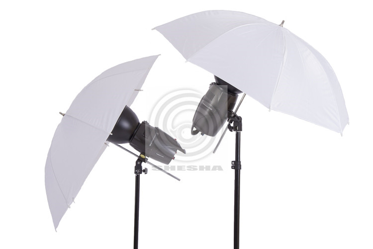 Комплект импульсного света FST E-250 Umbrella Kit