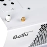 Электрическая тепловая завеса Ballu BHC-B15T09-PS2 Professional Standard 2
