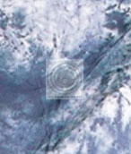 Художественный фон SHESHA 2,7х5 м SH-67