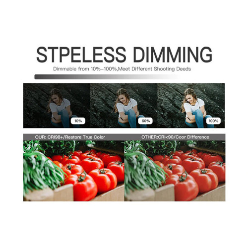 Осветитель YC Onion Brownie LED CCT Розовый