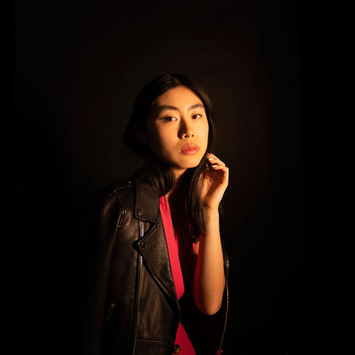 Осветитель Godox LC500