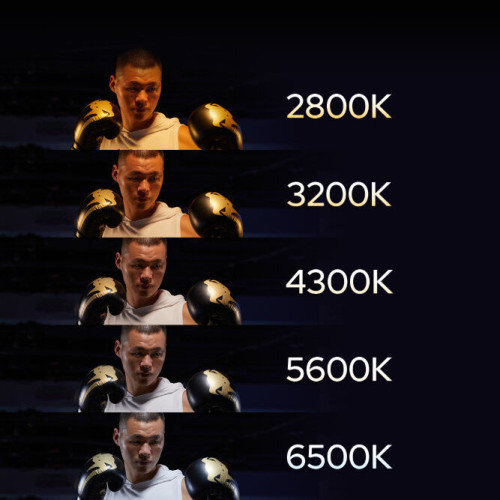 Осветитель Godox LDX100Bi