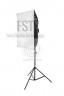 Комплект импульсного света FST E-250 Novel Kit