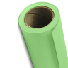 Savage (40-12) Mint Green фон бумажный 2,7x11 м мятный