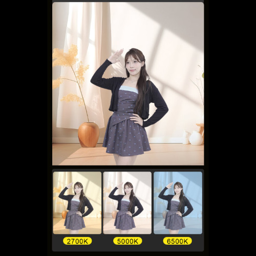 Осветитель NiceFoto FC-6000A