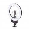Осветитель кольцевой Falcon Eyes BeautyLight 240 LED