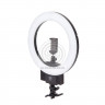 Осветитель кольцевой Falcon Eyes BeautyLight 240 LED