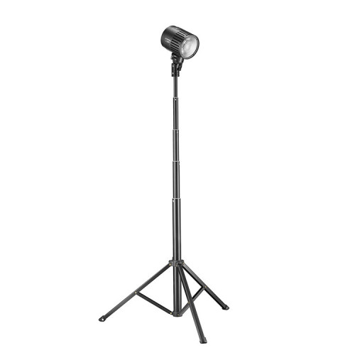 Комплект осветителей Godox Litemons LC30D-K2