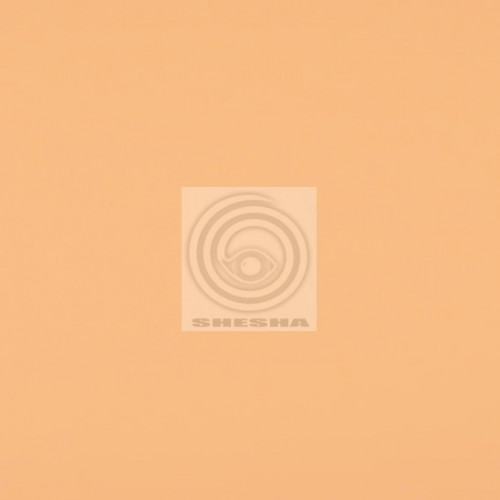 ФОН БУМАЖНЫЙ FST 2,72X11 М 1029 NATURAL ТЕЛЕСНЫЙ