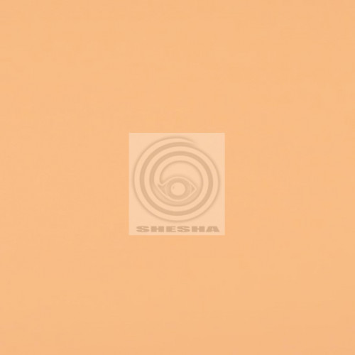 ФОН БУМАЖНЫЙ FST 2,72X11 М 1029 NATURAL ТЕЛЕСНЫЙ