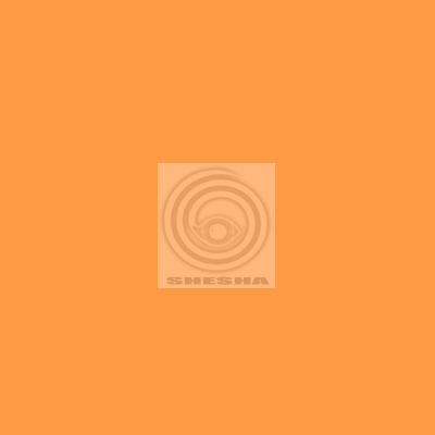 Фон бумажный FST 2,72x11 м 1033 ORANGE YELLOW персиковый