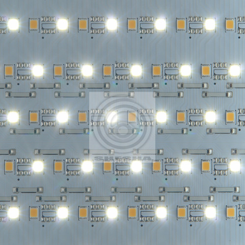 Осветитель светодиодный GreenBean DayLight II 100 LED Bi-color