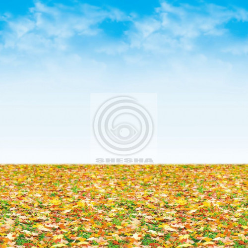 Ella Bella FDLS AUTMN LNDSCP (56295) фон бумажный осенний пейзаж 120х1500 см