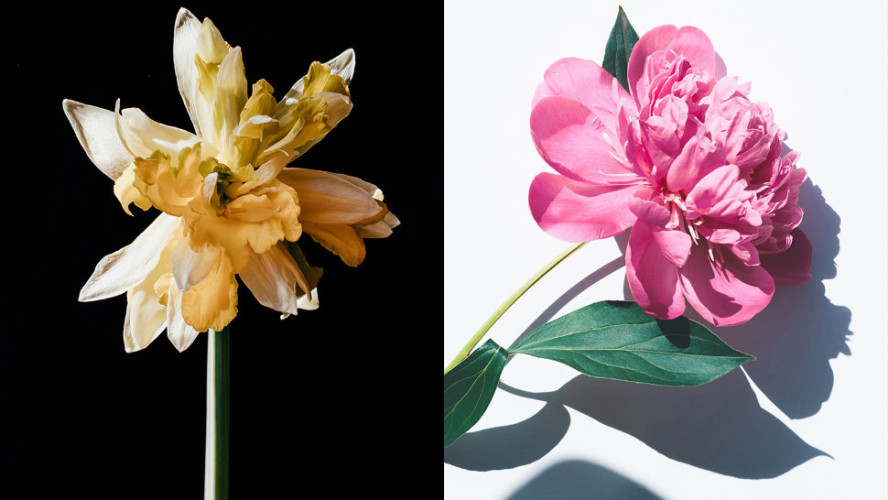 Осветитель NiceFoto AD-2000B