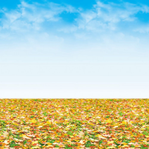 Ella Bella FDLS AUTMN LNDSCP (56295) фон бумажный осенний пейзаж 120х300 см