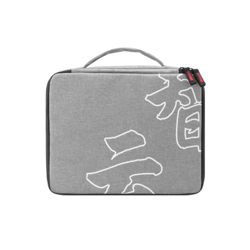 Осветитель Zhiyun MOLUS X60 Combo