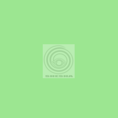 Фон бумажный FST 2,72x11 м 1026 SPRING GREEN весенняя зелень