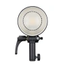 Вспышка аккумуляторная Godox Witstro AD600BMII