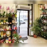 Электрическая тепловая завеса Тепломаш КЭВ-9П3031E Комфорт 300