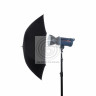 Фотозонт Falcon Eyes UR-48SL