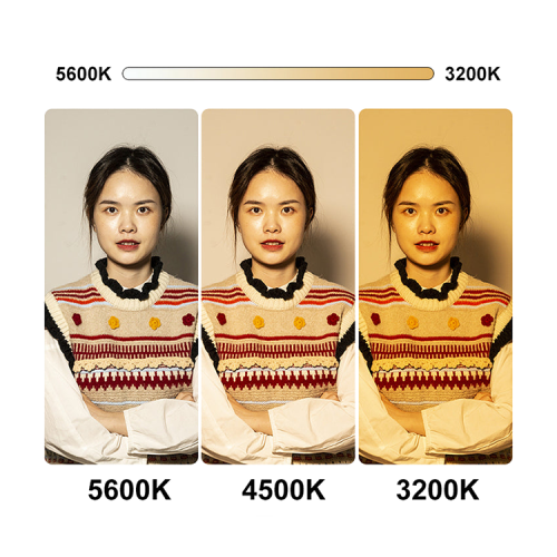 Осветитель SUTEFOTO Flashot L60B