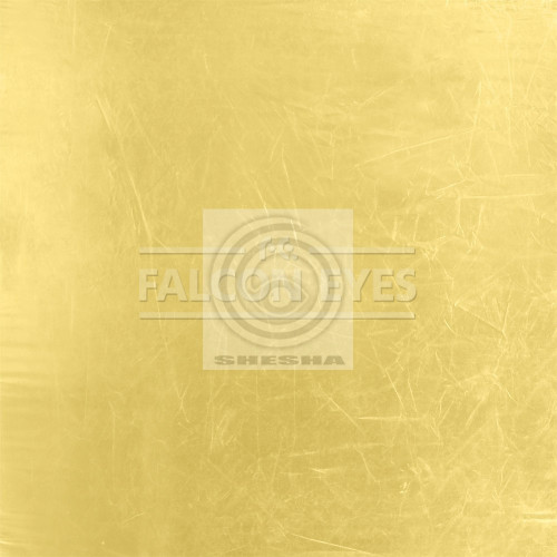 Отражатель Falcon Eyes RR-3570SL