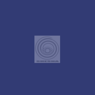 Фон бумажный FST 2,72x11m 1016 сапфировый