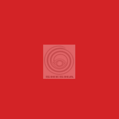 Фон бумажный FST 2,72x11m DARK RED 1001 красный