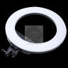 Grifon LED GRIFON SMD 50 W Кольцевой c зеркалом, регулировкой яркости и цветовой температуры 3200К-5800К (мощность 48W, диаметр 33х48,5 см)