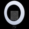 Grifon LED GRIFON SMD 50 W Кольцевой c зеркалом, регулировкой яркости и цветовой температуры 3200К-5800К (мощность 48W, диаметр 33х48,5 см)