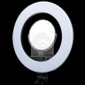 Grifon LED GRIFON SMD 50 W Кольцевой c зеркалом, регулировкой яркости и цветовой температуры 3200К-5800К (мощность 48W, диаметр 33х48,5 см)