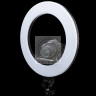 Grifon LED GRIFON SMD 50 W Кольцевой c зеркалом, регулировкой яркости и цветовой температуры 3200К-5800К (мощность 48W, диаметр 33х48,5 см)