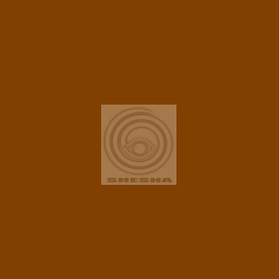 Фон бумажный FST 2,72x11m BROWN 1004 коричневый