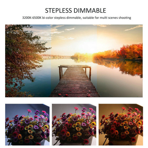 Осветитель NiceFoto HB-1000A