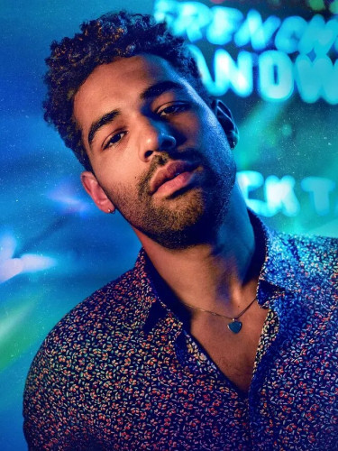 Комплект осветителей GVM 800D II (2шт)