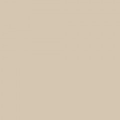 Vibrantone VBRT2119 Milk Coffee 19 фон бумажный 2,1x6м цвет латте