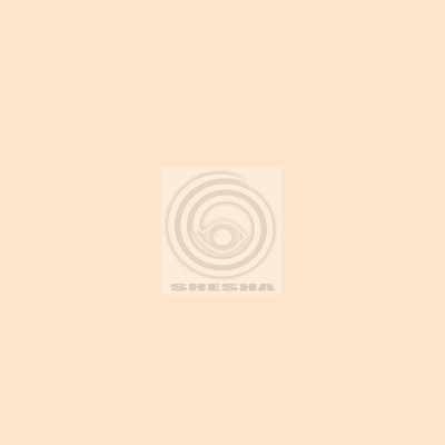 Фон бумажный FST 2,72x11m NEW WHEAT 1015 кремовый
