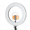 Осветитель кольцевой Falcon Eyes BeautyLight 480G LED