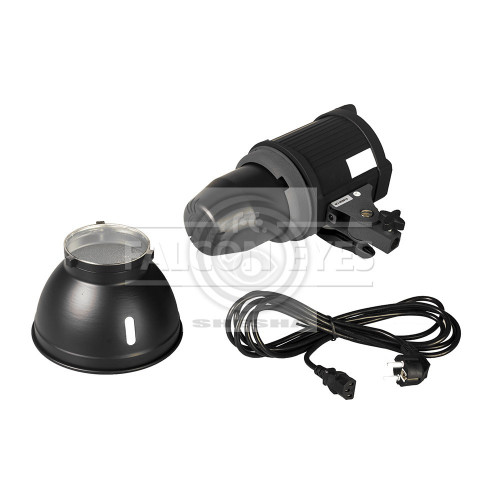 Осветитель Falcon Eyes QL-500BW галогеновый
