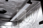 Лайткуб FST LT-80 LED со светодиодным освещением