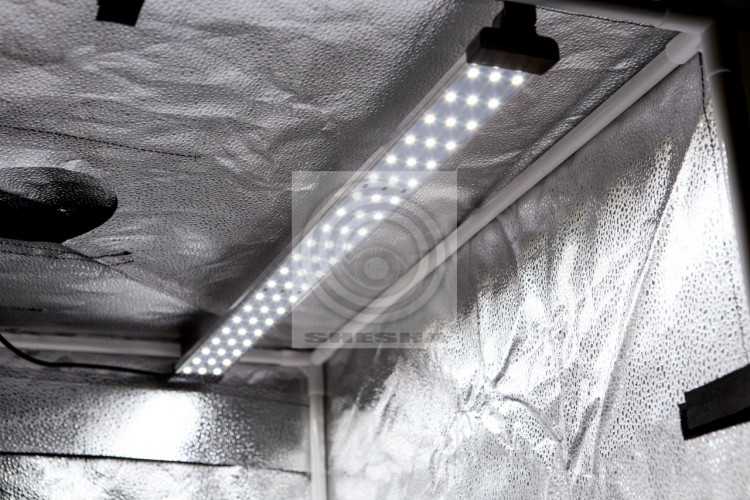 Лайткуб FST LT-40 LED со светодиодным освещением